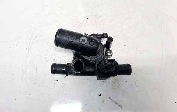 Renault Megane I Engine coolant pipe/hose 8200801571