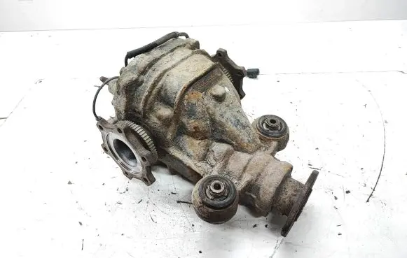 Nissan Pathfinder R51 Rear differential 38311E8300