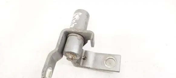 Rear door lower hinge
