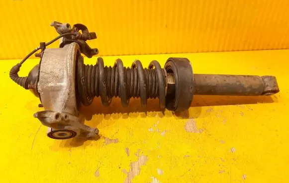 Porsche Cayenne (9PA) Rear shock absorber/damper 7P5513029K