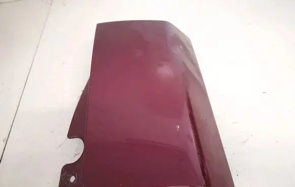 Rear/tail light trim molding