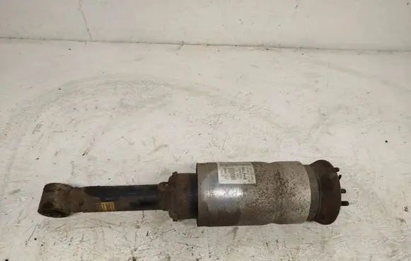Land Rover Range Rover Sport L320 Air suspension front shock absorber 22257273