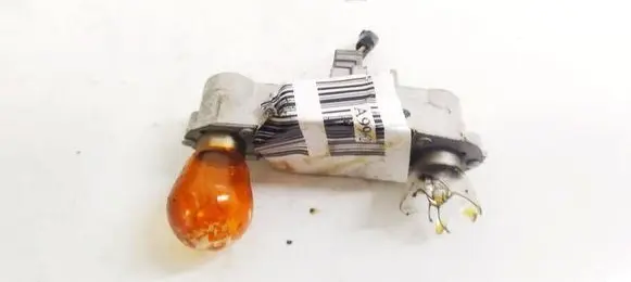 Peugeot 207 Tail light bulb cover holder 