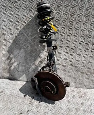 Fiat 500L Front shock absorber with coil spring 51890140