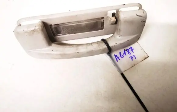 Chrysler 300 - 300C Rear interior roof grab handle 829880