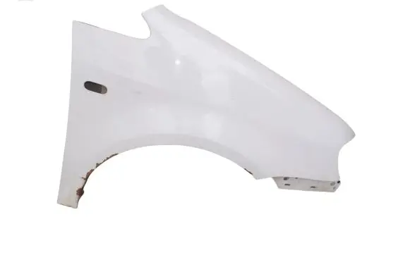 Volkswagen Caddy Fender 1T0821156