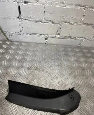 Rear/tail light trim molding