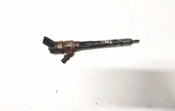 Opel Antara Fuel injector