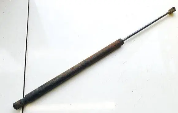 Tailgate/trunk strut/damper