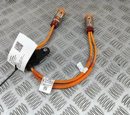 BMW iX Other wiring loom 5A0C139