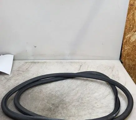 Opel Insignia B Front door rubber seal
