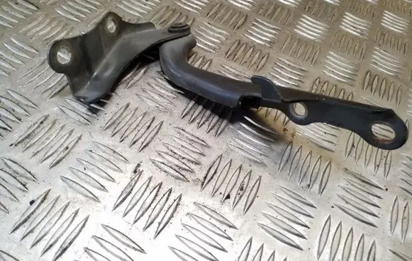 Toyota RAV 4 (XA20) Engine bonnet/hood hinges