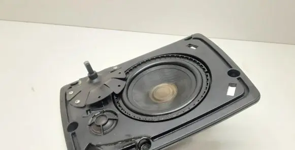 Panel speaker