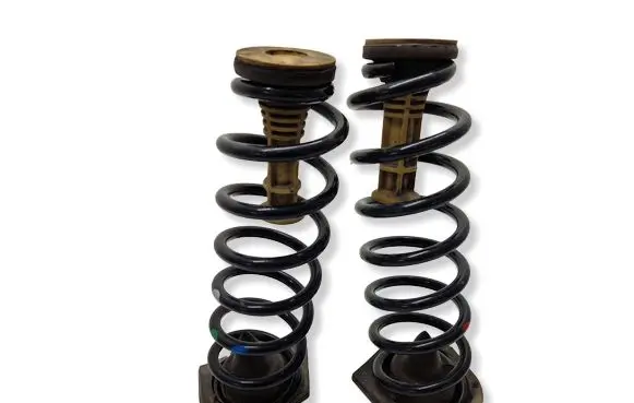 Renault Megane IV Rear coil spring 