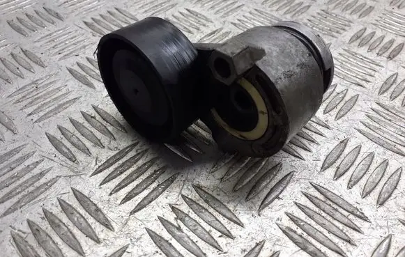 Renault Megane II Alternator belt tensioner pulley 11543662R