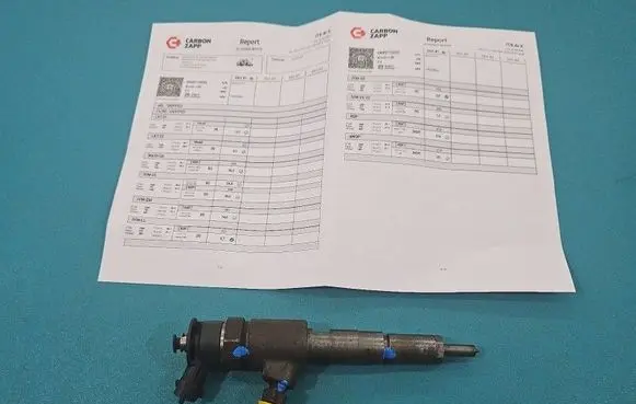 Citroen C3 Fuel injector 0445110252 IMPRK1523430
