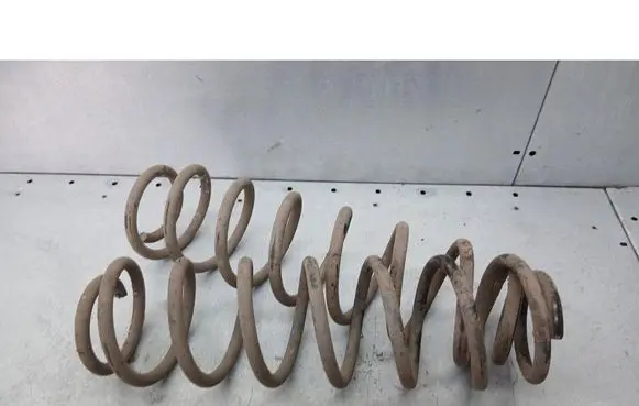 Rear coil spring