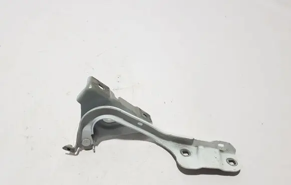 Renault Kangoo III Engine bonnet/hood hinges 654002262R
