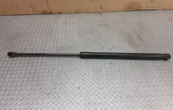 Tailgate/trunk strut/damper