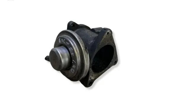 Volkswagen Golf Plus EGR valve 038131501AN 065716091