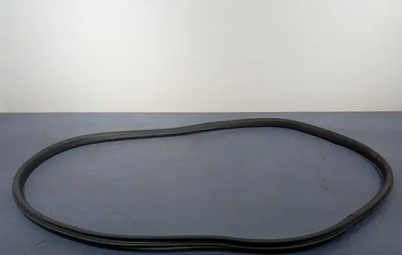 Ford Puma Front door rubber seal L1TB-S253A10