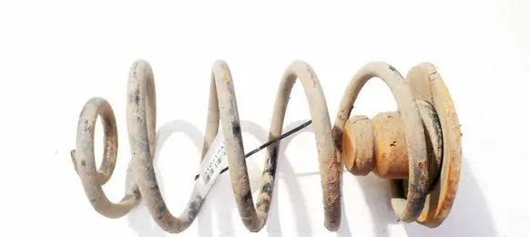 Rear coil spring