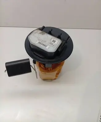 Citroen C4 II Picasso In-tank fuel pump 9800236180