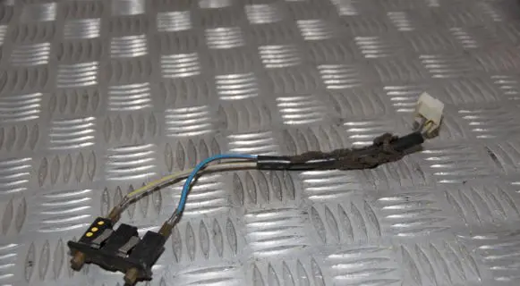 Rear door wiring loom