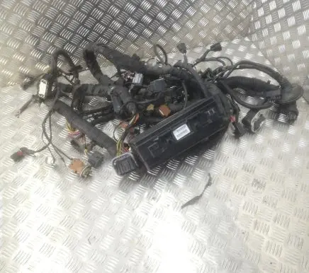 Ford F150 Other wiring loom CL3T13A581GFE