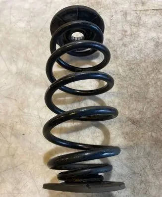 Rear coil spring