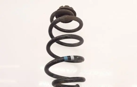 Rear coil spring