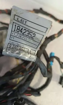 Front door wiring loom