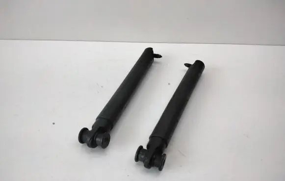 BMW X5 E53 Tailgate check strap stopper 8402195