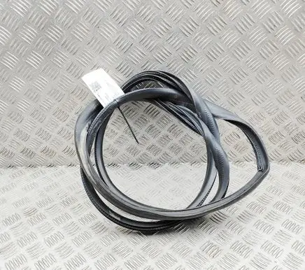 Renault Arkana Rubber seal rear door 769233636R
