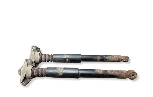 Volkswagen Sharan Rear shock absorber/damper 3C0513425