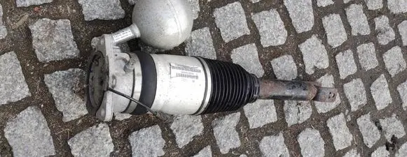 Volkswagen Phaeton Rear shock absorber/damper 3D0616002K