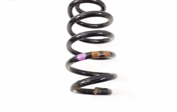Rear coil spring