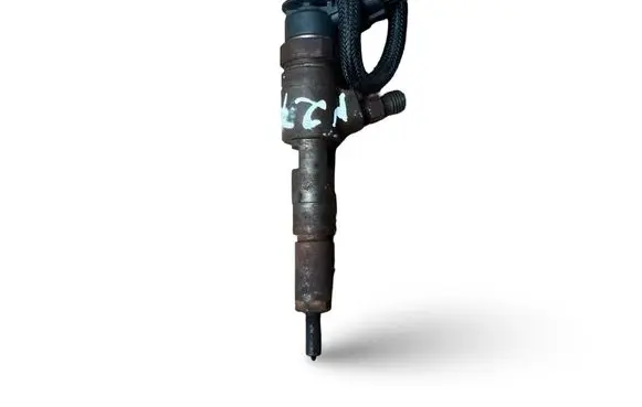 Peugeot Bipper Fuel injector 0445110252