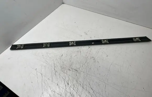 BMW 5 E39 Rear door trim (molding) 7004025