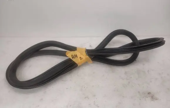 Opel Ampera Rear door rubber seal (on body) 