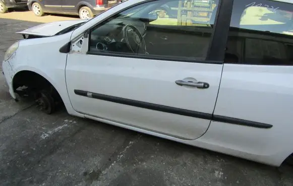 Renault Clio III Front door 