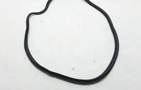 Renault Zoe Trunk rubber seal (body) 908309110R