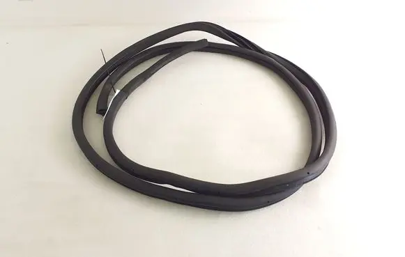 Nissan Juke I F15 Front door rubber seal 
