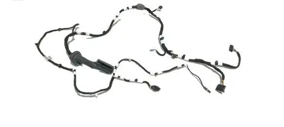 BMW 3 G20 G21 Front door wiring loom 5A20689 31273 13708011