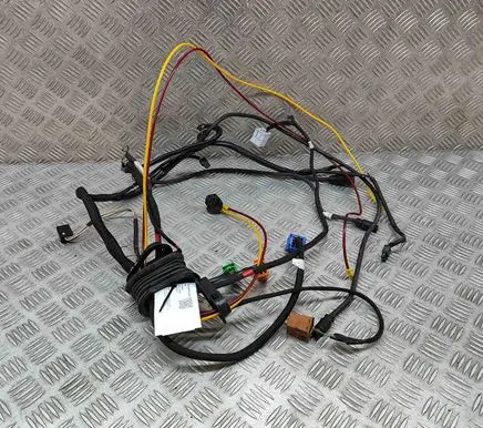 Front door wiring loom