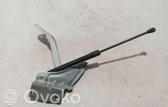Renault Megane IV Engine bonnet/hood hinges 654012880R