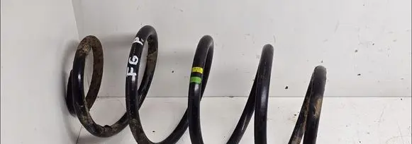 Ford Galaxy Front coil spring 