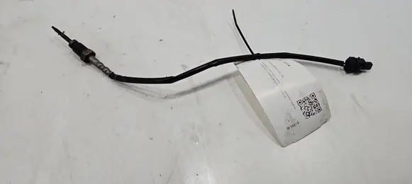 BMW 4 F32 F33 Exhaust gas temperature sensor 265600