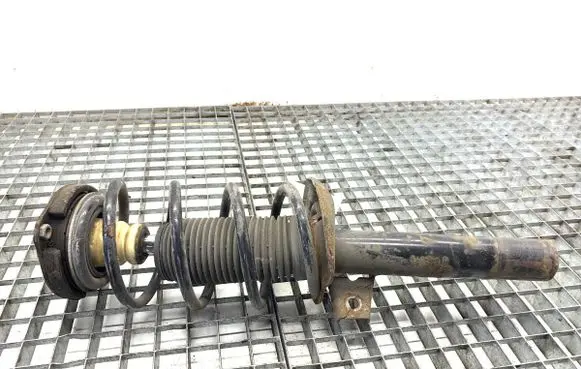 Volkswagen Golf V Front shock absorber/damper 