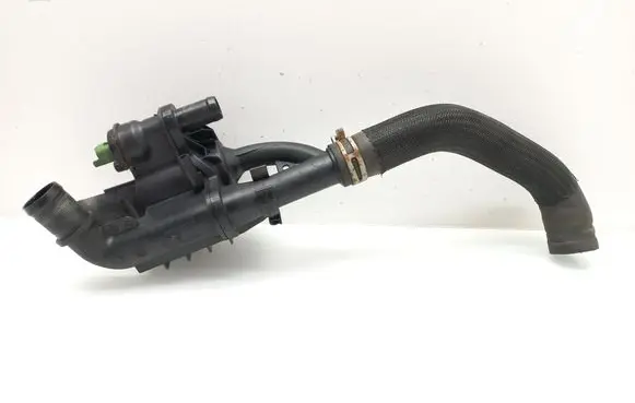 Thermostat/thermostat housing